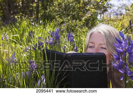A senior woman reads the bible in a sea of camassia; victoria british columbia canada View Large Photo Image Stock Image - A senior woman reads the bible in a sea of camassia; victoria british columbia canada. Fotosearch
