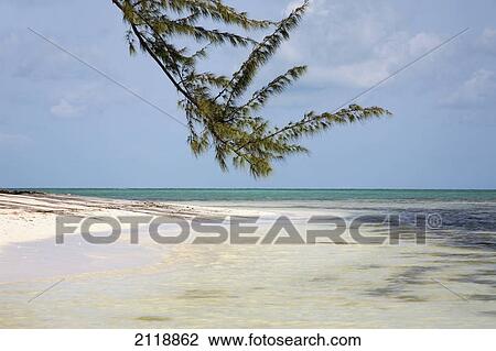 Stock Image - A view out to the ocean from a white sand beach; anegada british virgin islands. Fotosearch