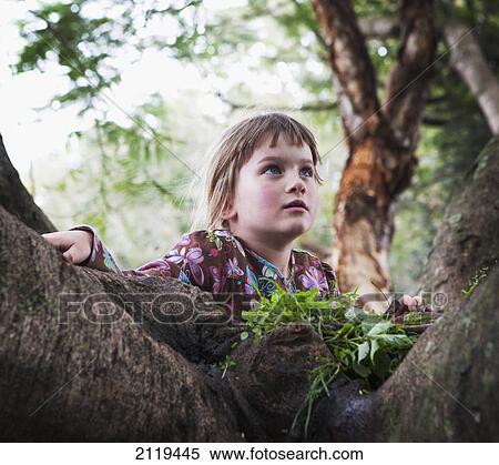 Stock Photography - A young girl sits up in a tree; gold coast queensland australia. Fotosearch
