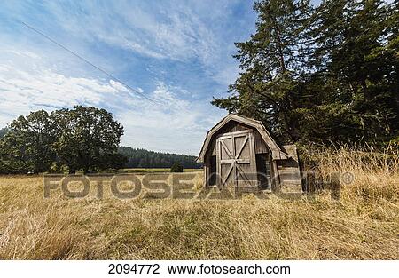An old abandoned cabin on cabbage island marine park in the gulf islands; british columbia, canada View Large Photo Image Stock Image - An old abandoned cabin on cabbage island marine park in the gulf islands; british columbia, canada. Fotosearch