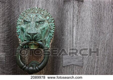 Stock Photo - Brass lion door knocker on a wooden door; howick, northumberland, england. Fotosearch