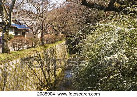 Canal in old kyoto in the spring; kyoto, japan View Large Photo Image Picture - Canal in old kyoto in the spring; kyoto, japan. Fotosearch