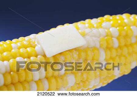 Stock Image - Close up of a cob of corn with a cube of melting butter on a blue background; calgary alberta canada. Fotosearch