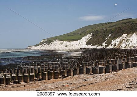 Concentration of groynes and beachy head; sussex, england View Large Photo Image Stock Photo - Concentration of groynes and beachy head; sussex, england. Fotosearch