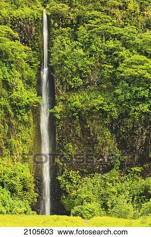 Faarumai waterfall; tahiti nui society islands french polynesia south pacific View Large Photo Image Stock Image - Faarumai waterfall; tahiti nui society islands french polynesia south pacific. Fotosearch