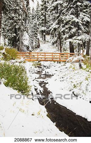 First snow in autumn along umbrella falls on mount hood in the oregon cascades; oregon, united states of america View Large Photo Image Stock Photo - First snow in autumn along umbrella falls on mount hood in the oregon cascades; oregon, united states of america. Fotosearch