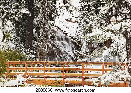 First snow in autumn along umbrella falls on mount hood in the oregon cascades; oregon, united states of america View Large Photo Image Stock Photograph - First snow in autumn along umbrella falls on mount hood in the oregon cascades; oregon, united states of america. Fotosearch