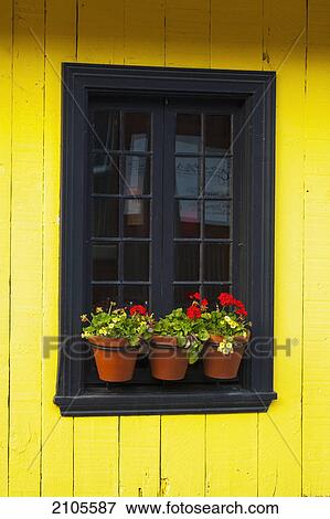 Stock Photo - Flower pots on a window ledge; trois-rivieres quebec canada. Fotosearch