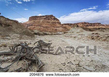 Fortress in the judean desert; masada southern district israel View Large Photo Image Stock Photograph - Fortress in the judean desert; masada southern district israel. Fotosearch