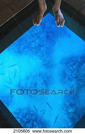 Glass Floor In A Room Of Bora Bora Nui Resort And Spa Bora Bora