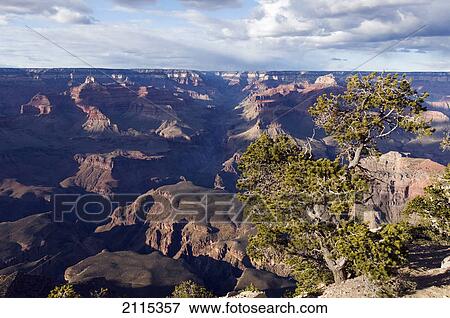 Grand canyon; arizona united states of america View Large Photo Image Stock Photo - Grand canyon; arizona united states of america. Fotosearch