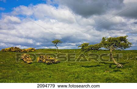 Stock Photo - Hadrian's wall; northumberland, england. Fotosearch