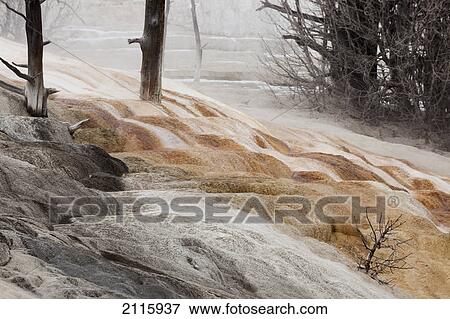 Hot springs in yellowstone national park; wyoming united states of america View Large Photo Image Stock Photo - Hot springs in yellowstone national park; wyoming united states of america. Fotosearch