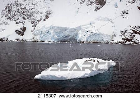 Stock Photo - Iceberg; antarctica. Fotosearch