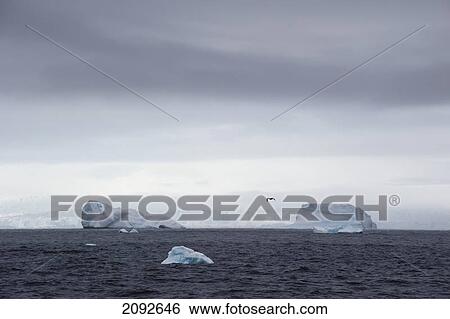 Icebergs in the southern ocean; antarctica View Large Photo Image Stock Photograph - Icebergs in the southern ocean; antarctica. Fotosearch