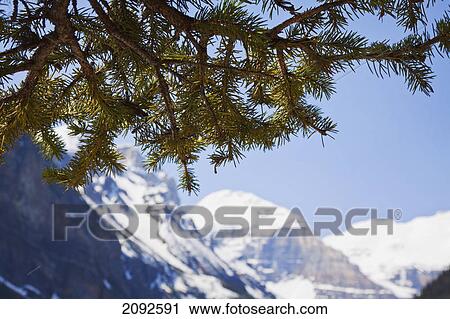 Lake louise in alberta's rocky mountain range; lake louise, alberta, canada View Large Photo Image Stock Image - Lake louise in alberta's rocky mountain range; lake louise, alberta, canada. Fotosearch