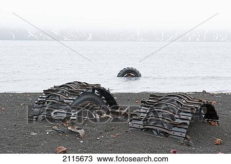 Large tires buried in the sand and in the water; antarctica View Large Photo Image Stock Image - Large tires buried in the sand and in the water; antarctica. Fotosearch