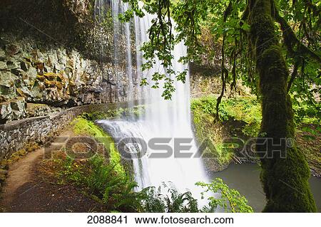 Stock Image - Lower south falls in silver falls state park on the oregon trail; oregon, united states of america. Fotosearch