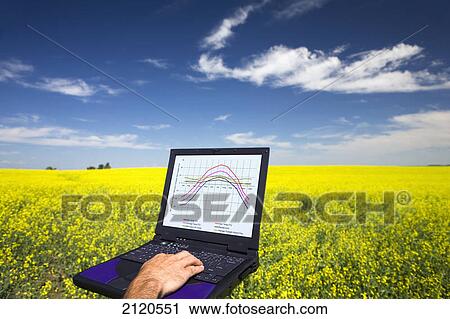Male hand typing on a laptop with graph and flowering canola field with blue sky and clouds east of calgary; alberta canada View Large Photo Image Stock Image - Male hand typing on a laptop with graph and flowering canola field with blue sky and clouds east of calgary; alberta canada. Fotosearch