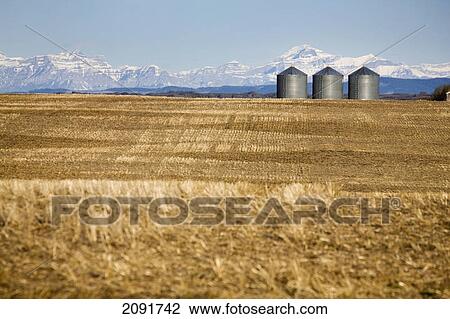 Stock Image - Metal grain bins in stubble field with snow covered mountains in the background and blue sky; alberta, canada. Fotosearch