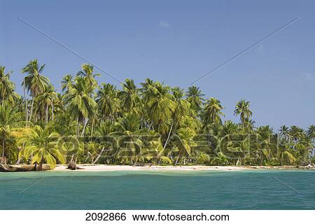 Stock Photograph - Palm trees along the green water with blue sky; diadup island, san blas islands, panama. Fotosearch