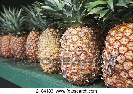 Stock Image - Pineapples displayed in the window of a fruit store by the road; murwillumba new south wales australia. Fotosearch