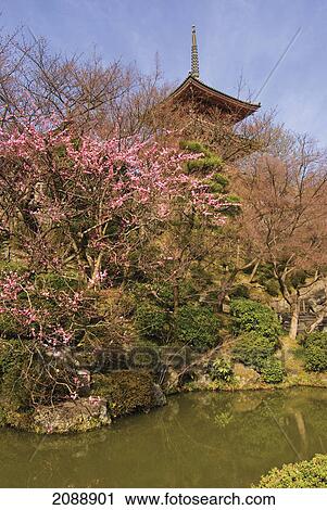 Stock Image - Pond and bushes in front of a japanese pagoda; kyoto, japan. Fotosearch