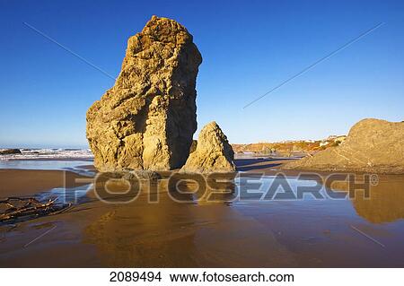 Rock formations at low tide on bandon beach; oregon, united states of america View Large Photo Image Picture - Rock formations at low tide on bandon beach; oregon, united states of america. Fotosearch