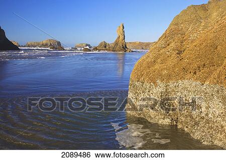 Rock formations at low tide on bandon beach; oregon, united states of america View Large Photo Image Stock Photograph - Rock formations at low tide on bandon beach; oregon, united states of america. Fotosearch