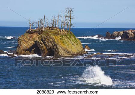 Stock Photo - Rock formations at shore acres state park; oregon, united states of america. Fotosearch