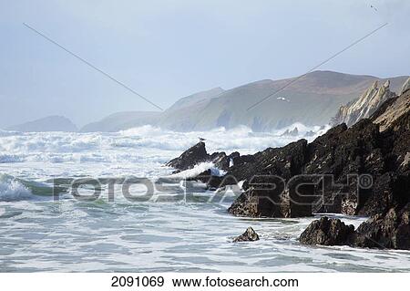 Stock Photo - Rough water along the coast at coomenoole beach, near dunquin on the dingle peninsula; county kerry, ireland. Fotosearch