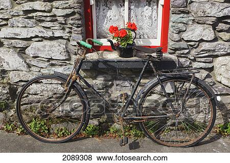 Rusty old bicycle and flowers in kettle outside molly gallivan's cottage and traditional farm visitor centre; bonane, kenmare, county kerry, republic of ireland View Large Photo Image Stock Photo - Rusty old bicycle and flowers in kettle outside molly gallivan's cottage and traditional farm visitor centre; bonane, kenmare, county kerry, republic of ireland. Fotosearch