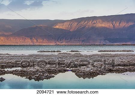 Salt formations in the salt water of the dead sea; israel View Large Photo Image Stock Image - Salt formations in the salt water of the dead sea; israel. Fotosearch