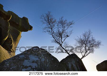 Stock Photography - Sculpted rock formations and lone tree at brimham rocks; north yorkshire england. Fotosearch