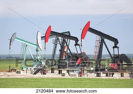 Picture - Several pump jacks in a row in a field with clouds and blue sky east of airdrie; alberta canada. Fotosearch