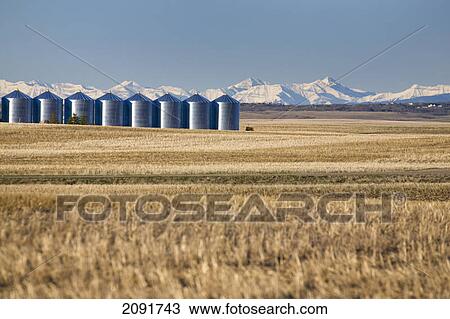 Stock Image - Shiny metal grain bins in stubble field with snow covered mountains in the background and blue sky; alberta, canada. Fotosearch