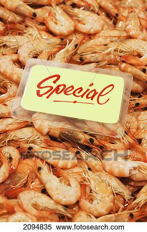 Stock Photography - Shrimp on display with a sign marked 'special'; ballina new south wales australia. Fotosearch
