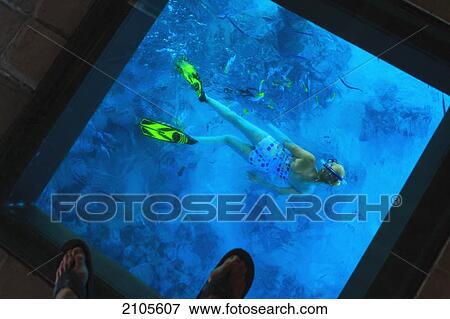Snorkeler Under The Glass Floor In A Room Of Bora Bora Nui Resort
