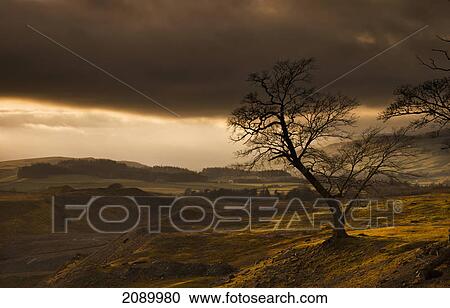 Storm clouds over a hilly landscape; northumberland, england View Large Photo Image Stock Image - Storm clouds over a hilly landscape; northumberland, england. Fotosearch