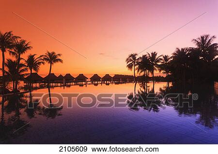Stock Photo - Sunset and palm trees reflecting in a pool at the bora bora nui resort and spa; bora bora island society islands french polynesia south pacific. Fotosearch