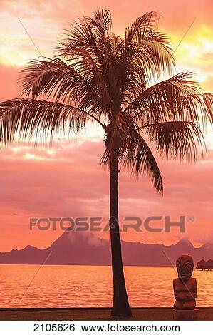 Sunset over moorea from sofitel maeva beach resort near papeete; tahiti nui society islands french polynesia south pacific View Large Photo Image Stock Photograph - Sunset over moorea from sofitel maeva beach resort near papeete; tahiti nui society islands french polynesia south pacific. Fotosearch