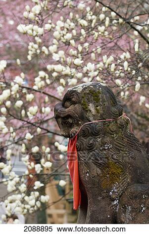 Temple statue with blossoming trees in the background; nara, japan View Large Photo Image Stock Photography - Temple statue with blossoming trees in the background; nara, japan. Fotosearch
