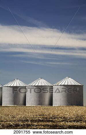 Stock Photography - Three shiny metal grain bins in stubble field with blue sky and clouds; alberta, canada. Fotosearch