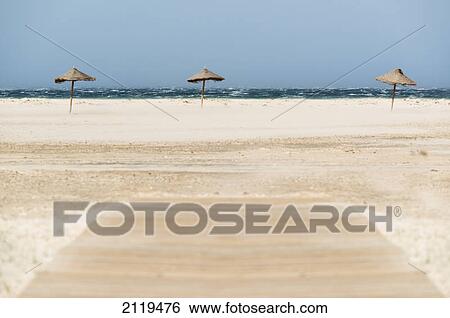 Stock Photograph - Three umbrellas on a white sand beach along the water's edge; tarifa cadiz andalusia spain. Fotosearch