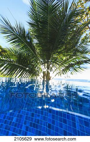 Stock Photo - Upward underwater view from swimming pool arue resort near papeete; tahiti nui south pacific. Fotosearch