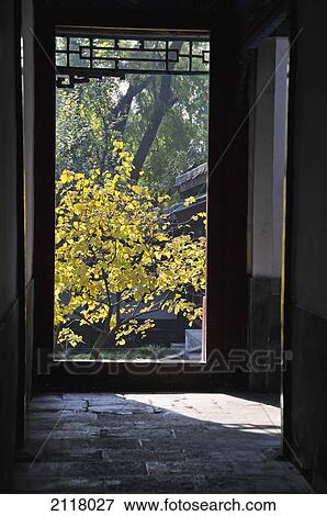 Stock Photo - View down a hallway to trees outside a window; beijing china. Fotosearch