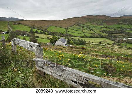View of farmland from a wooden fence; ireland View Large Photo Image Stock Image - View of farmland from a wooden fence; ireland. Fotosearch