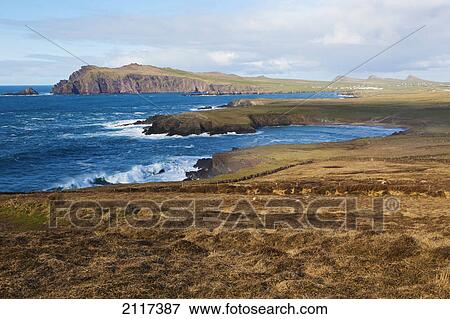 Stock Photo - View to sybil head; dingle peninsula county kerry ireland. Fotosearch