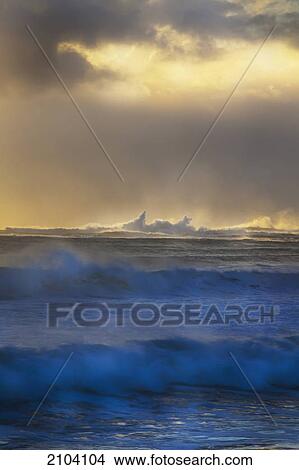 Picture - Waves coming in at sunset; kirra gold coast queensland australia. Fotosearch