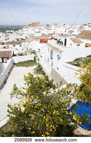 Whitewashed buildings in a town; medina-sidonia, andalusia, spain View Large Photo Image Stock Photograph - Whitewashed buildings in a town; medina-sidonia, andalusia, spain. Fotosearch